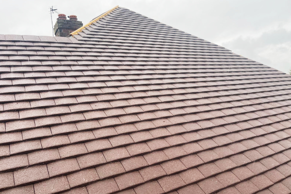 New Roof (3)