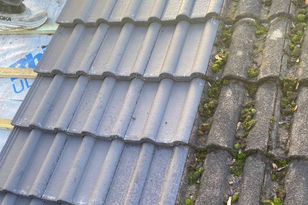 Roof-Cleaning-6