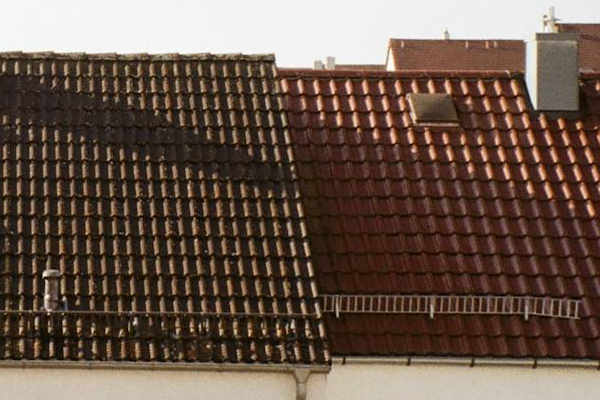 Roof cleaning (8)